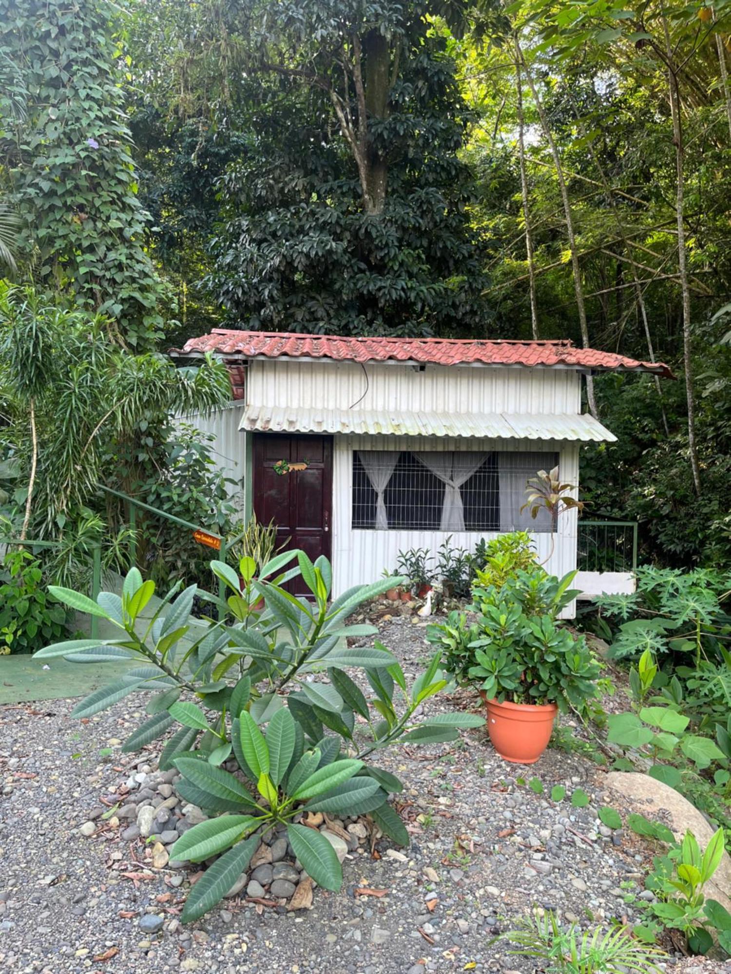 Casa Escondida Apartments Manuel Antonio Luaran gambar